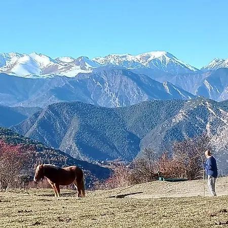 Espectacular De Montana Pirineos, * Burg